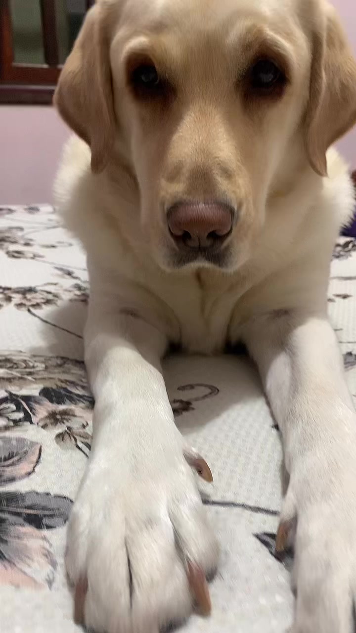 @Lunalinda.lab