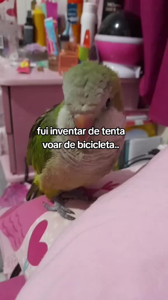 @𝐁ɪᴀ (𝐋ɢɢᴊ's ᴠᴇʀsɪᴏɴ) ᶻ 𝗓 𐰁