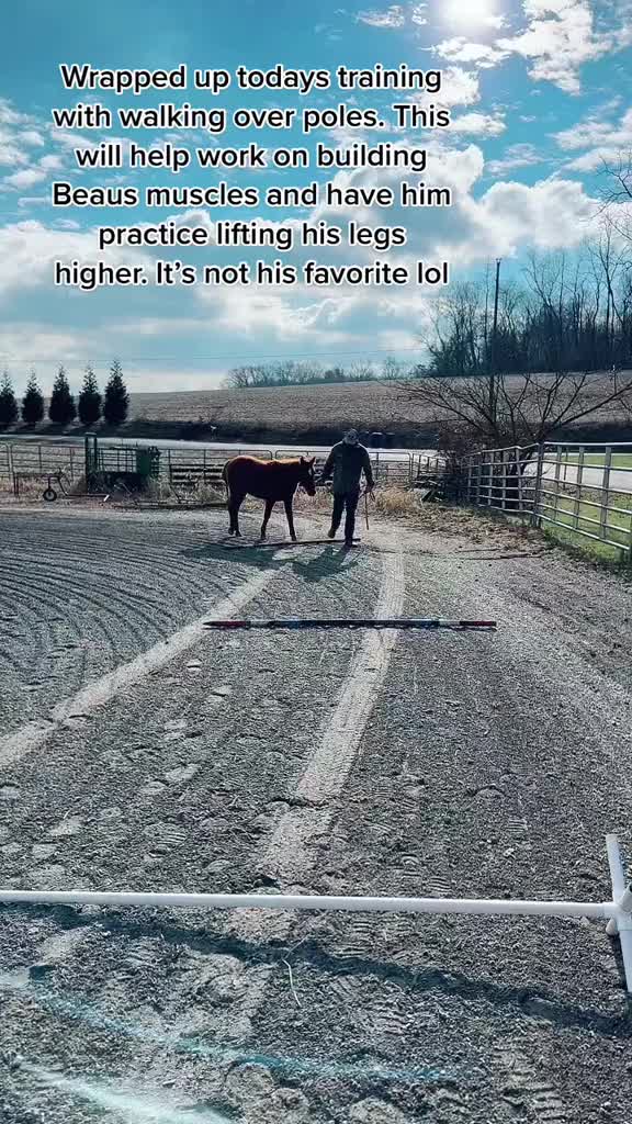 @KH Carvey
