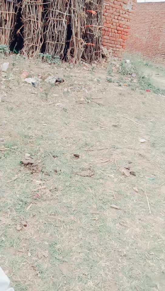 @Gabbar Kumar