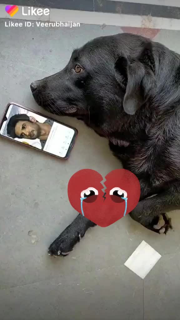 @vinaythakur00