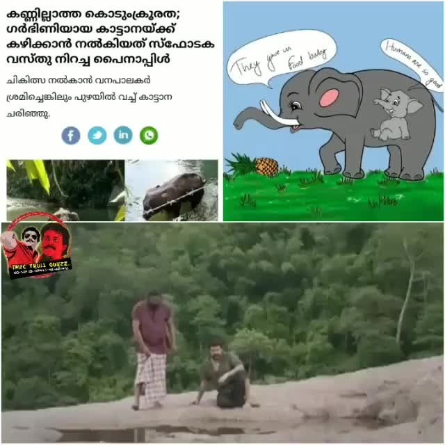 @kuttuss