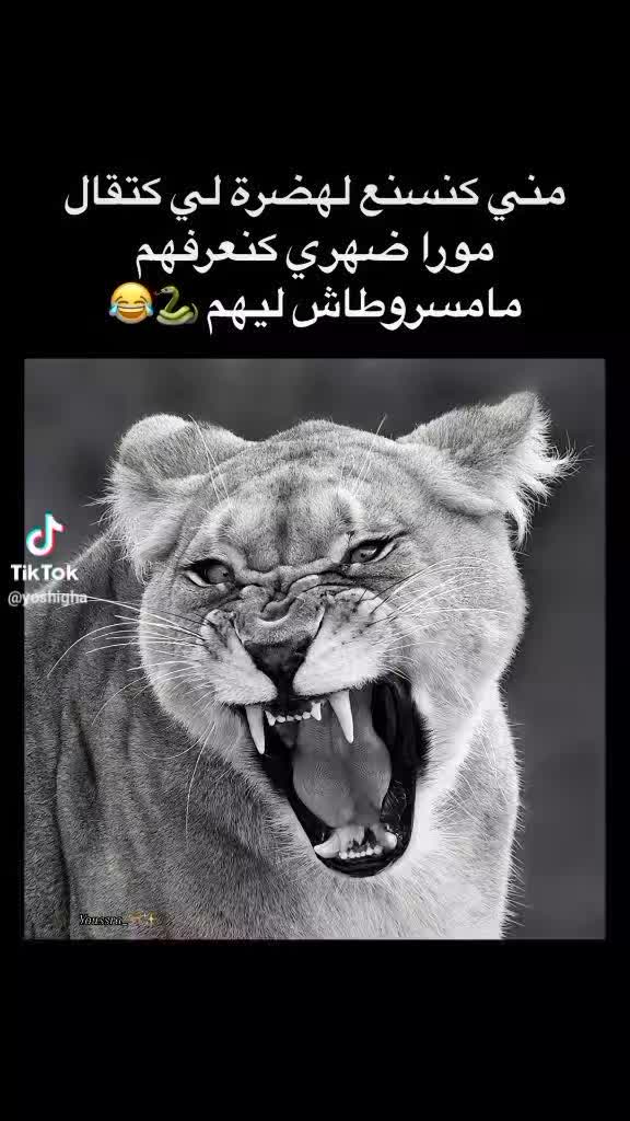 @أميرة نفسي💕✨