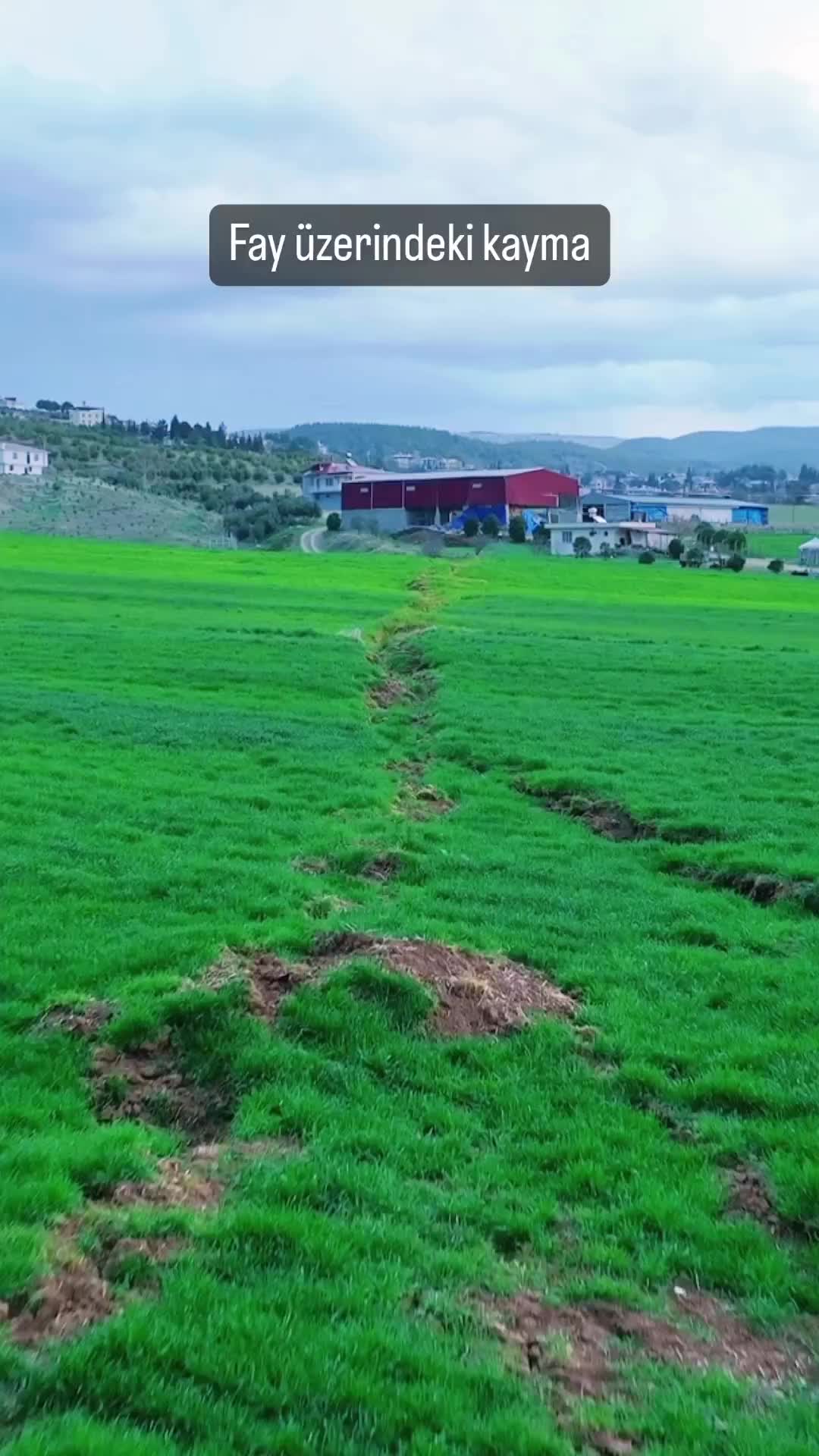 @🌼🍀