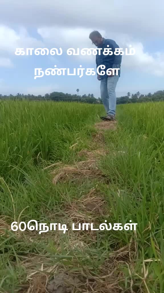 @kothai senthil