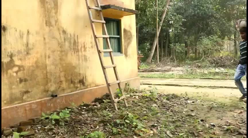@Aman vastri 81033