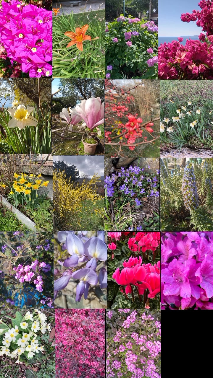 @Il giardiniere felice