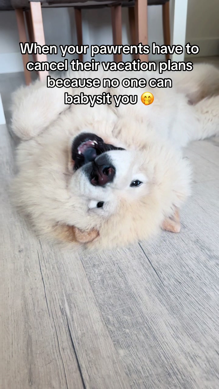 @Mochi