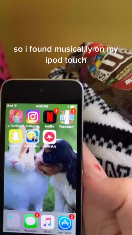 @musical.ly
