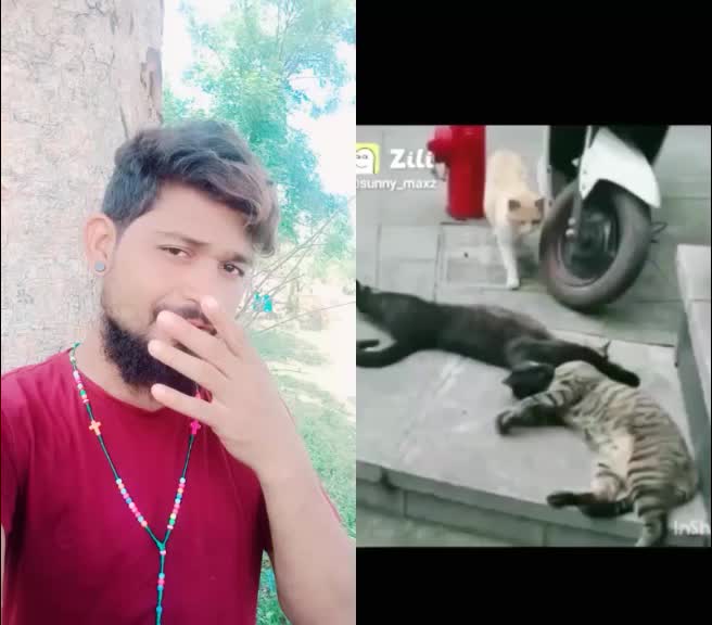 @Saroj Pradhan