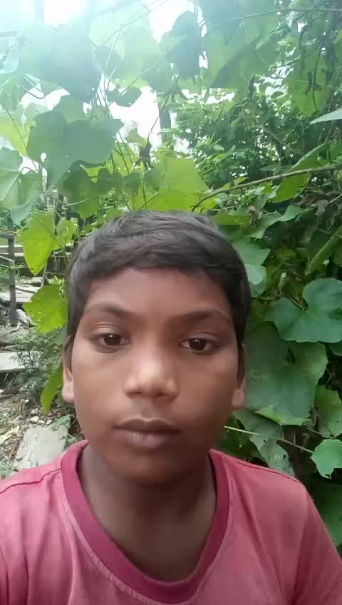 @user3500618202490