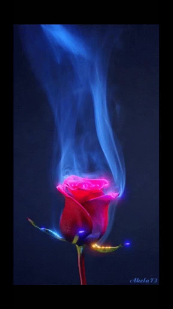 @purvi
