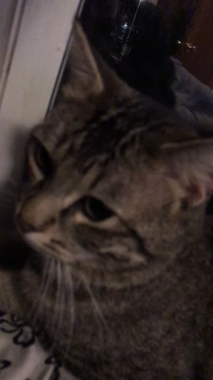 @Hi