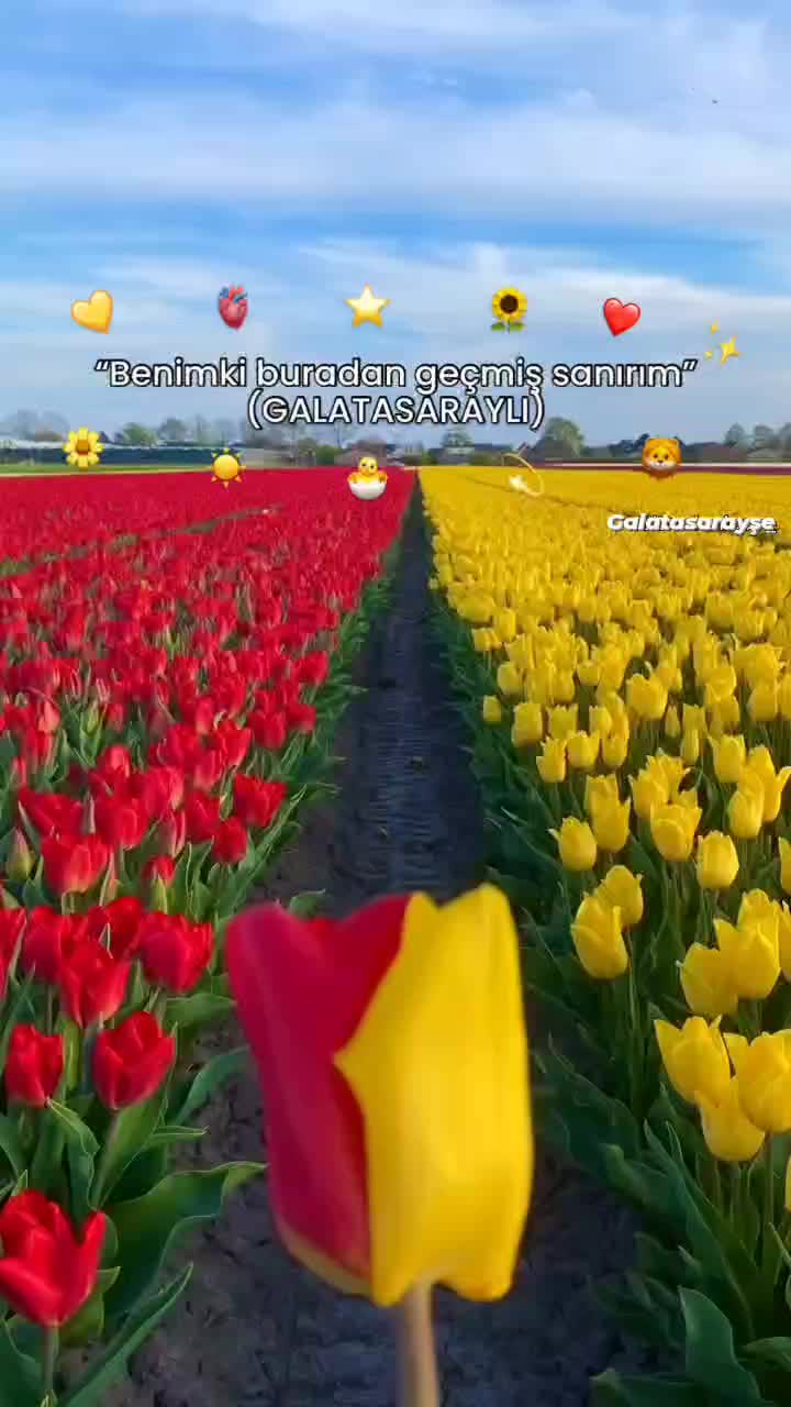 @GALATASARAY
