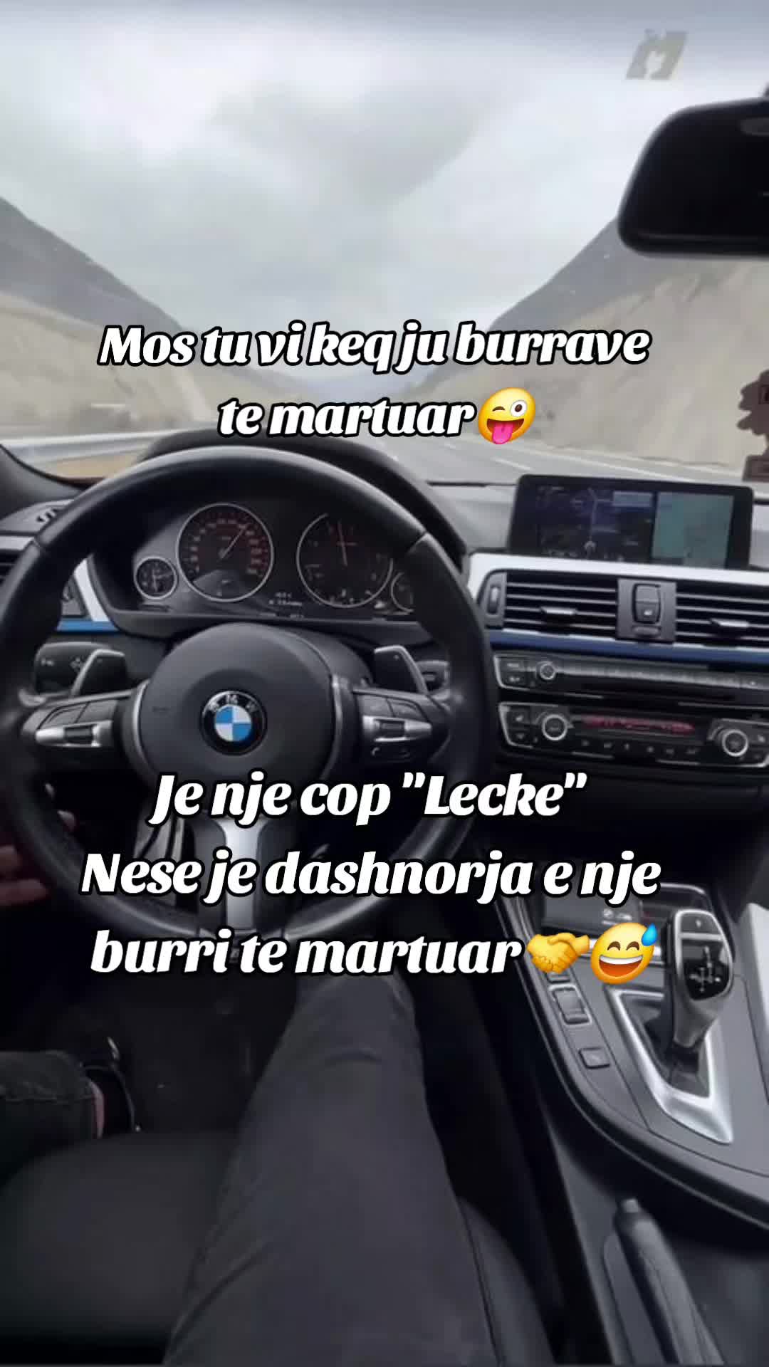 @🦁Luanesha🦁