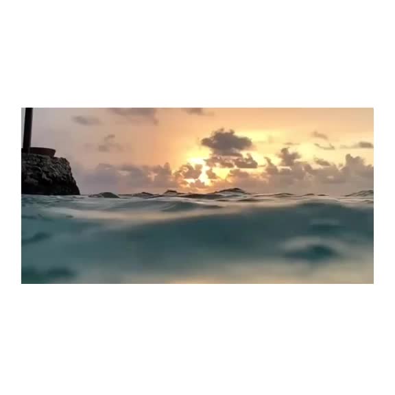@shivi chauhan