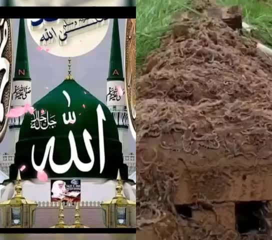 @shain Islam
