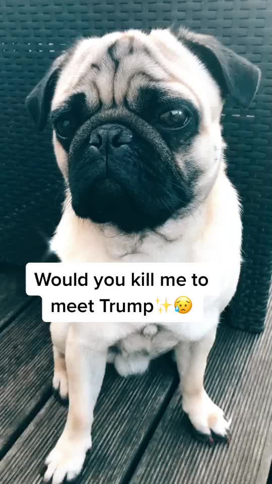 @toby