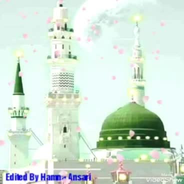 @tauqeershaikh2526