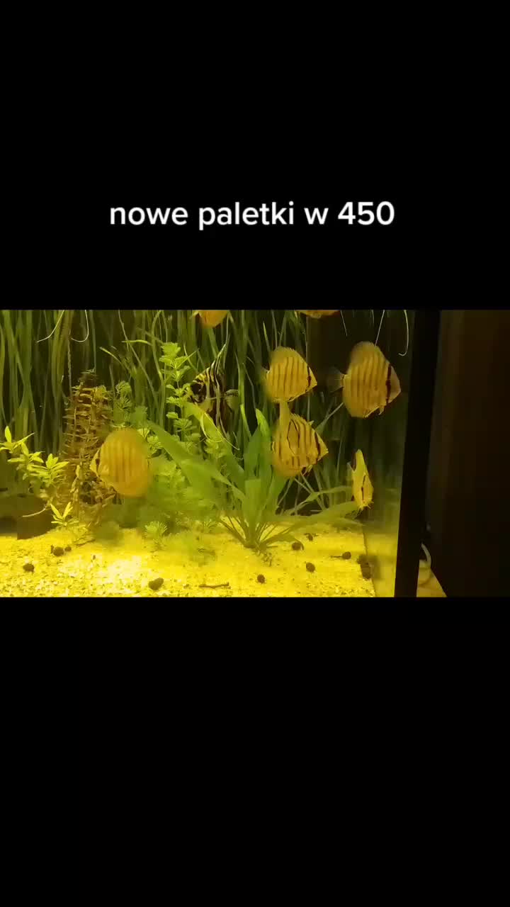 @🐟Mój wodny świat🐟
