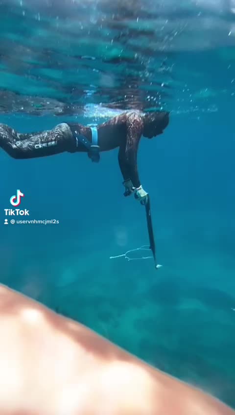 @منير المريمي