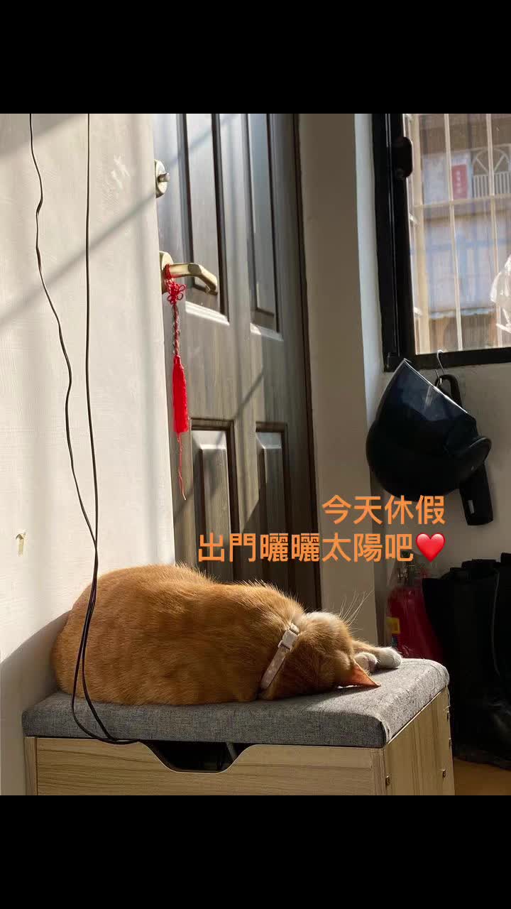 @柑仔弟弟