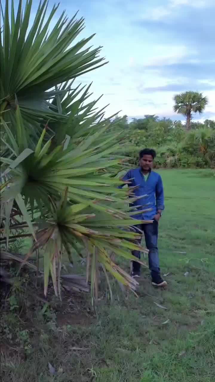 @sunil sahu