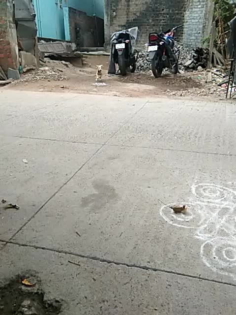 @sarathi