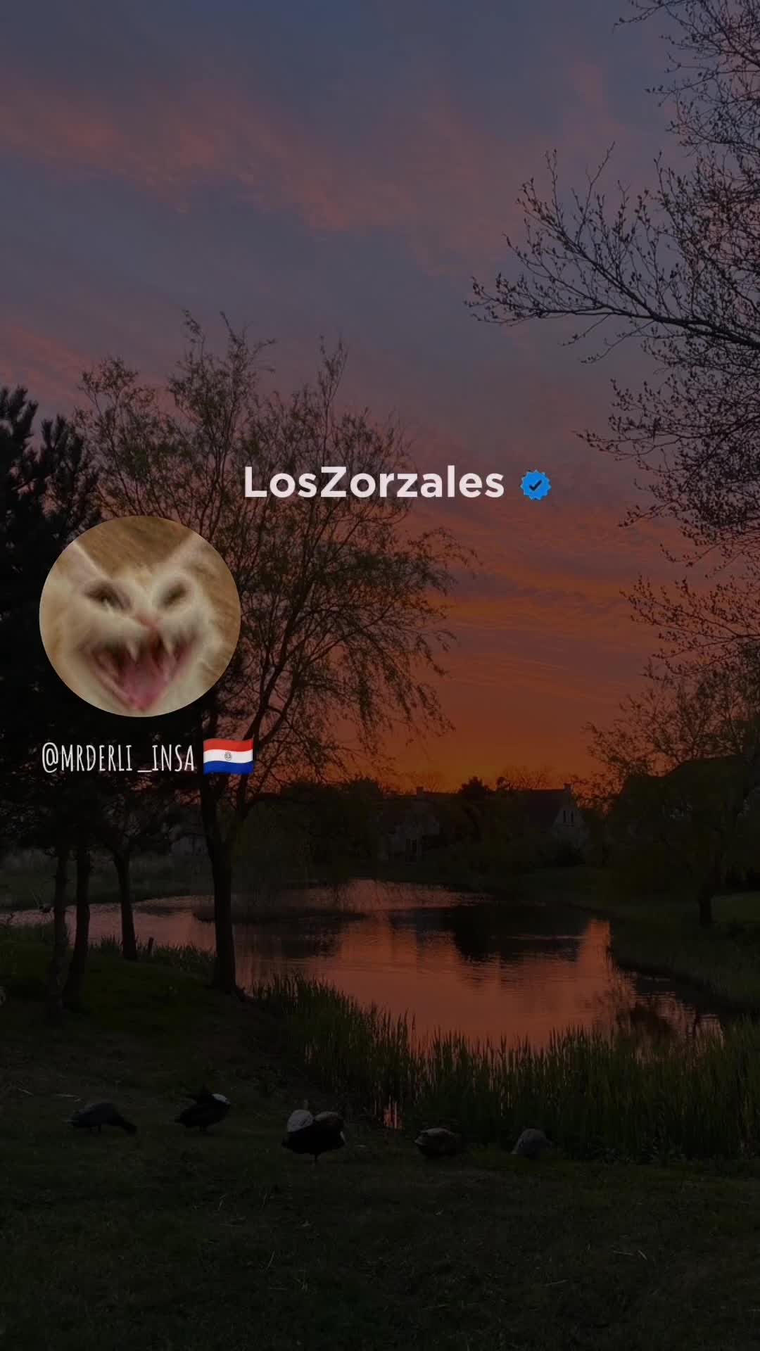 @ᴅᴇʀʟɪs ɪɴsᴀᴜʀʀᴀʟᴅᴇ