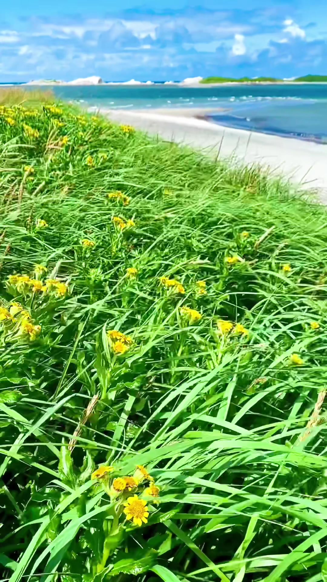 @🇨🇦 Tanya🌻