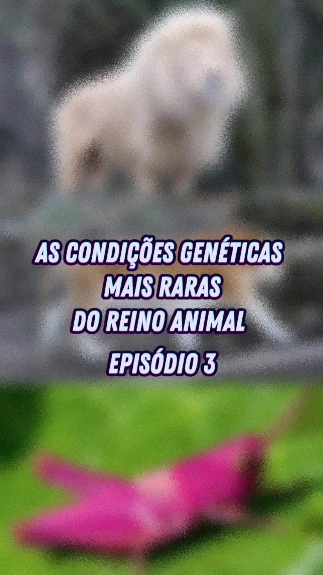 @Curiosidades sobre Biologia