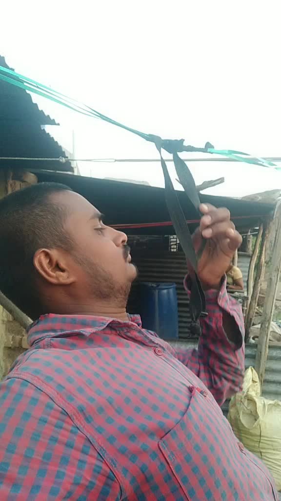 @Raghumali