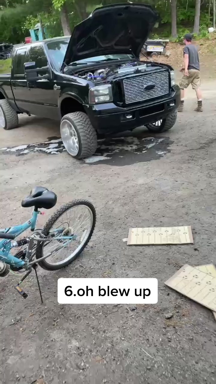 @steneck155