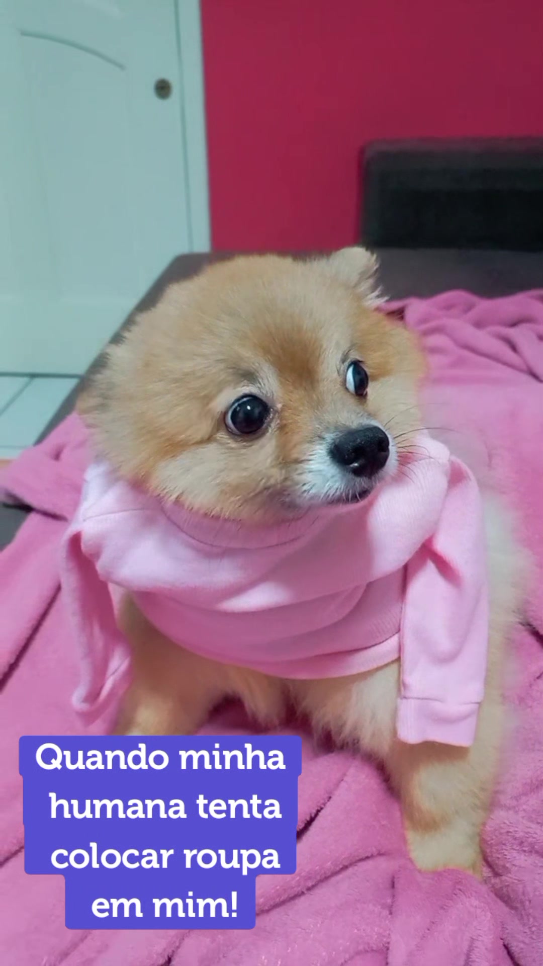 @Ana Alícia princess