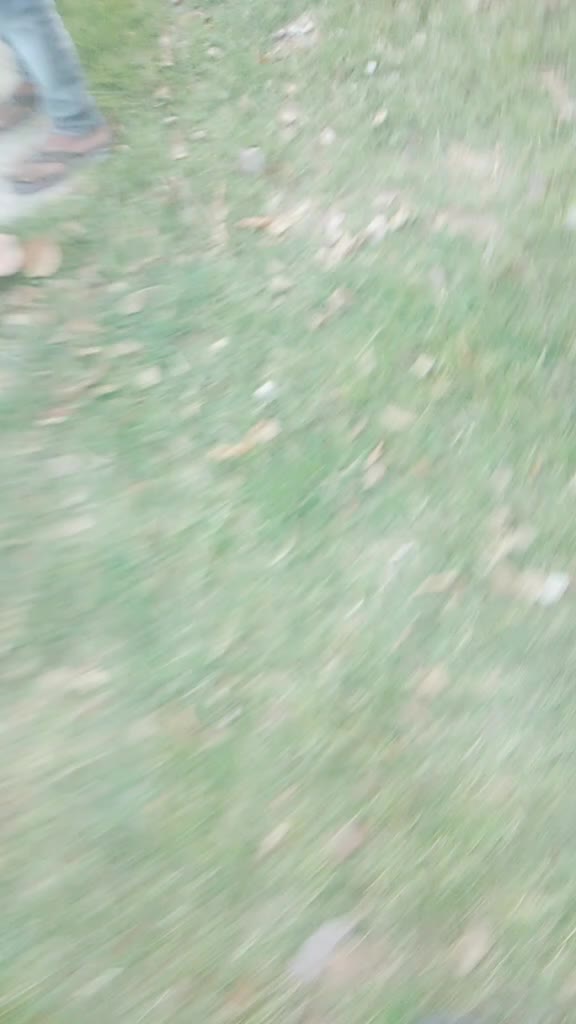 @Rehan Raja