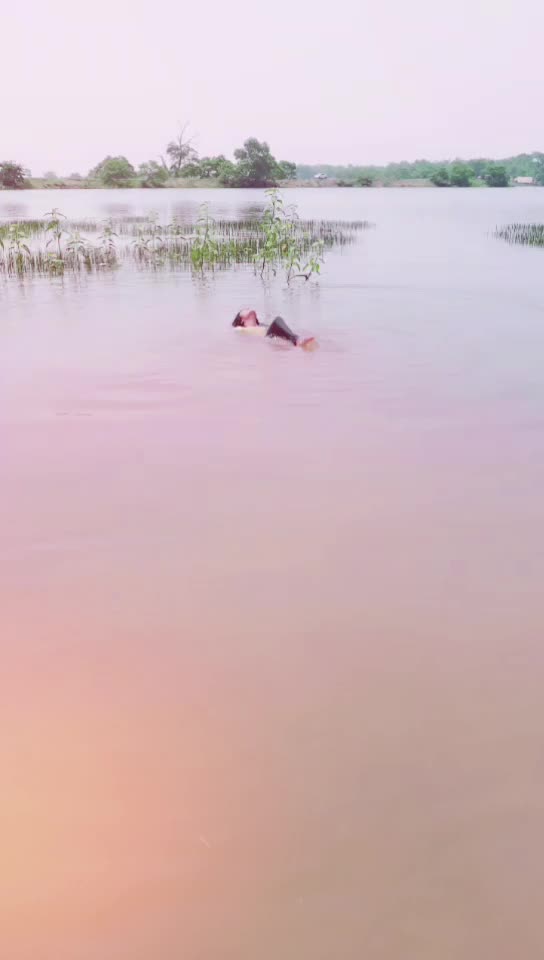 @Sradhanjali Pradhan