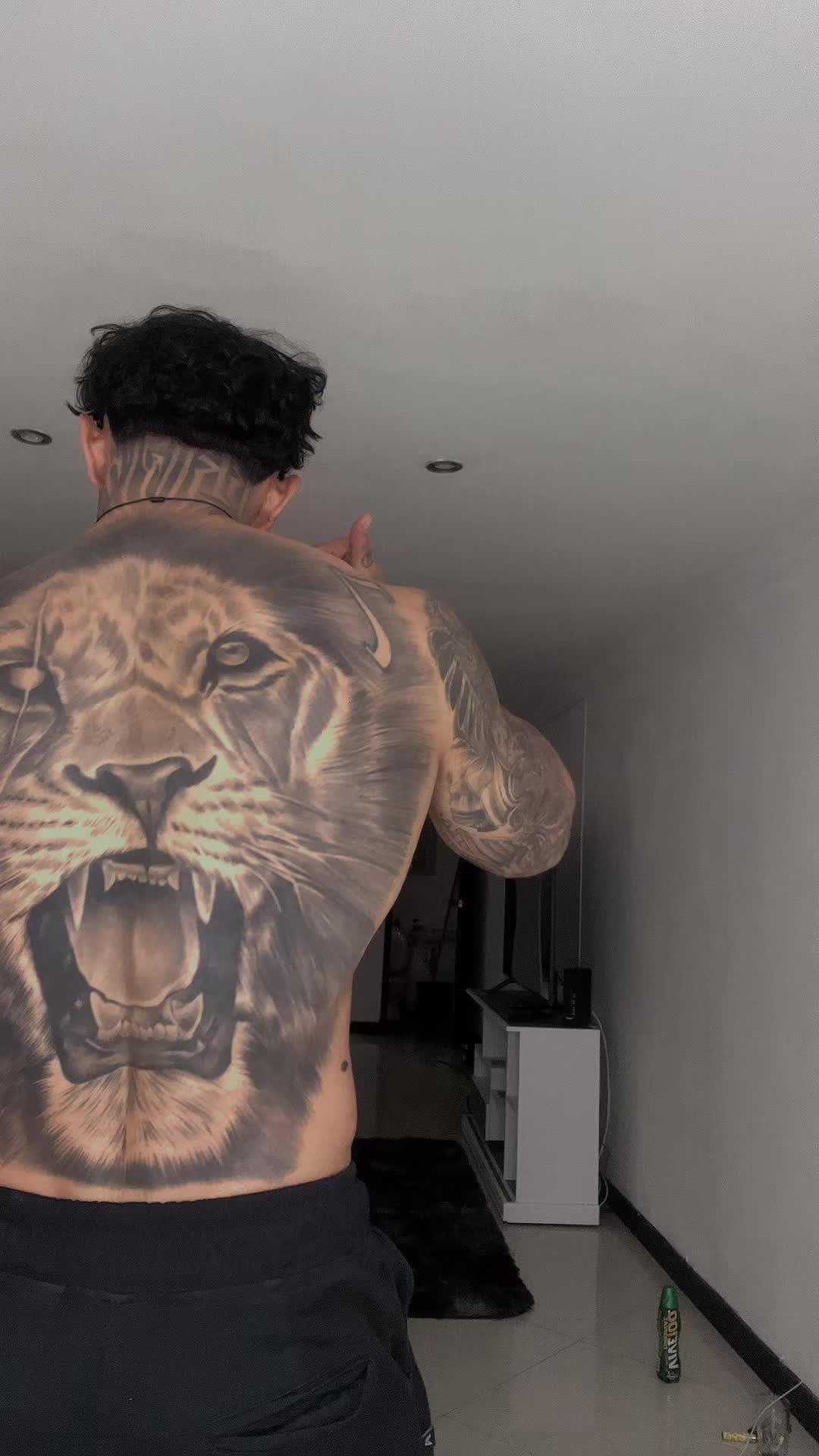 @exotico_77 🪬🦁