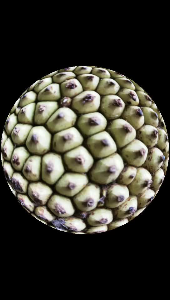 @@Bhau