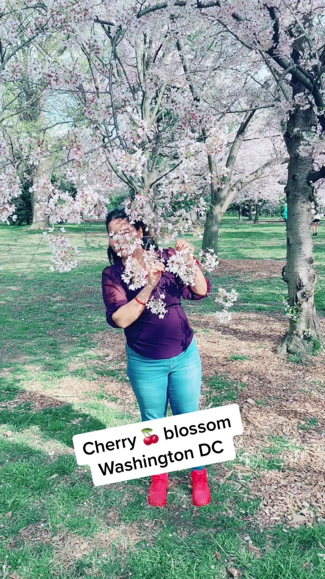 @मनमाया