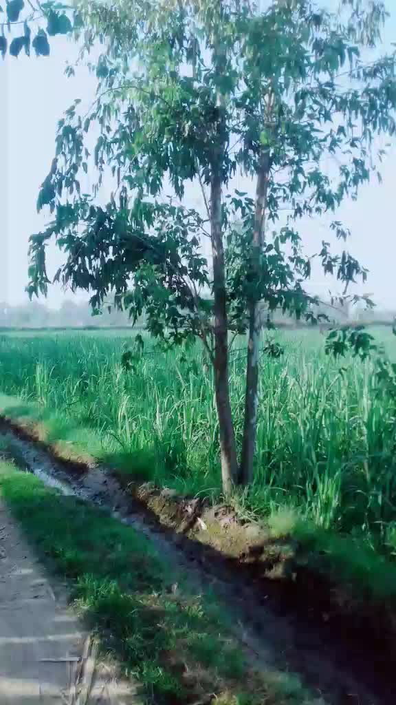 @Priyanshu Rathor
