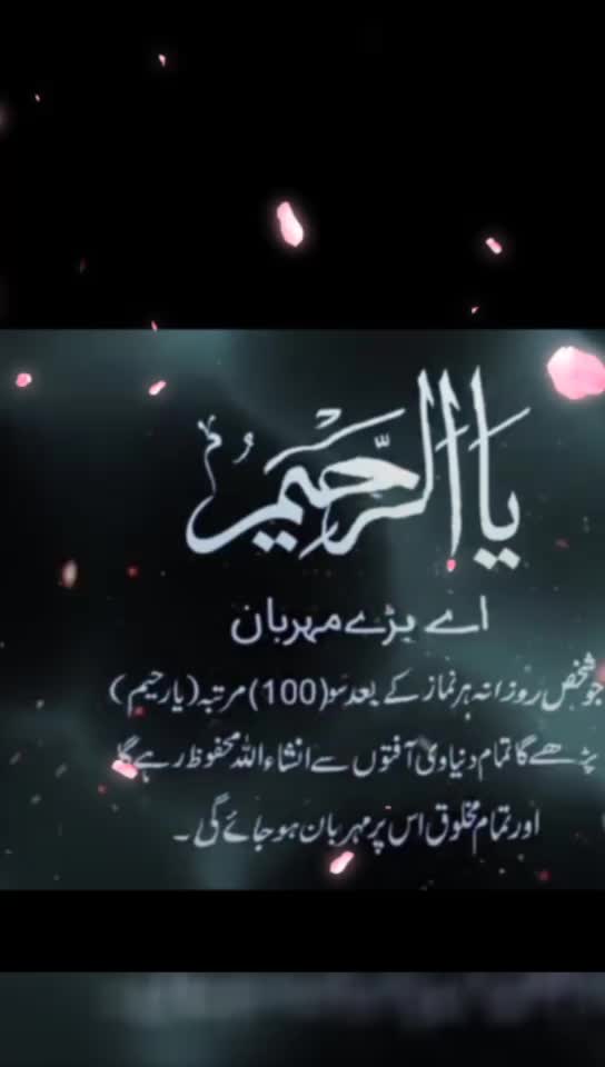 @shain Islam