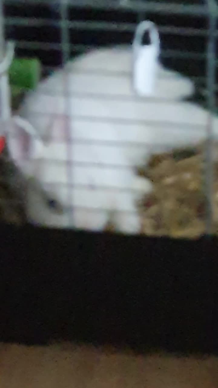 @user8256147345822