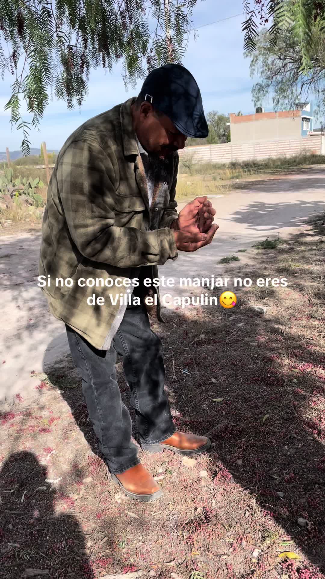 @Adolfo Lopez Rubi945