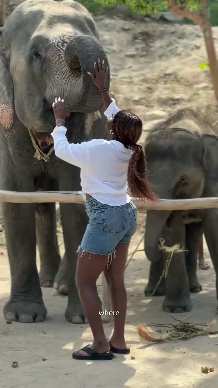 @essyimoisili