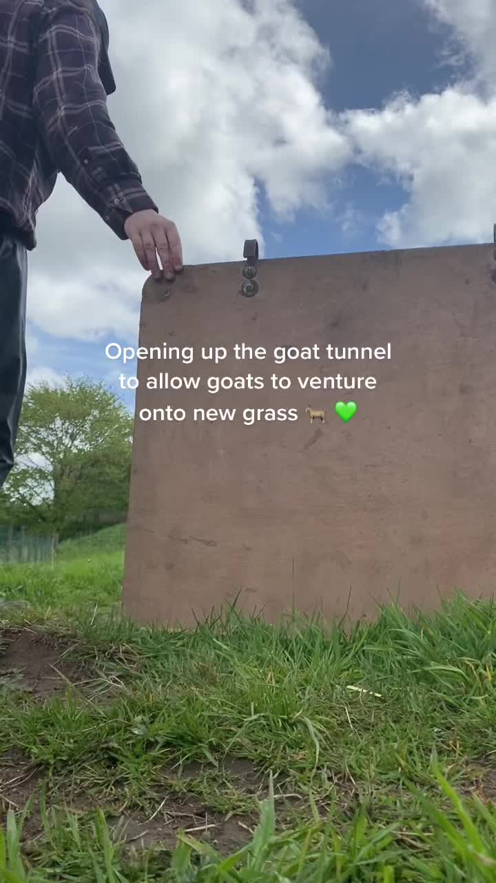 @Sunny B Goats🌞B🐐