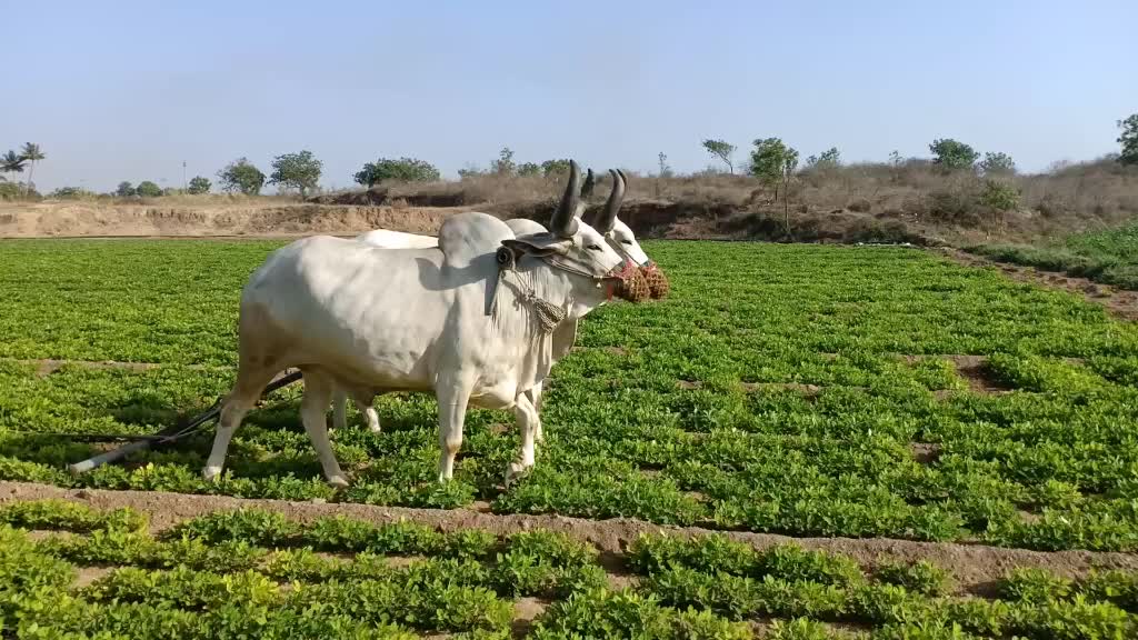 @Hardik8920