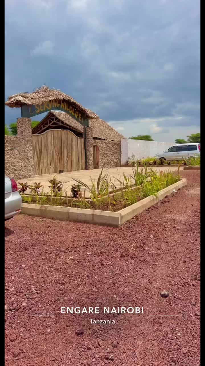 @Mona156