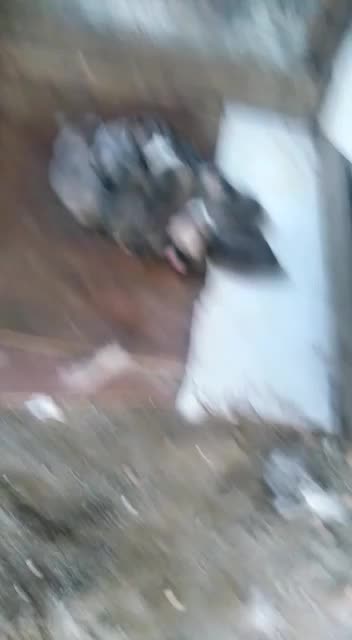 @FurkanK&ouml;se28