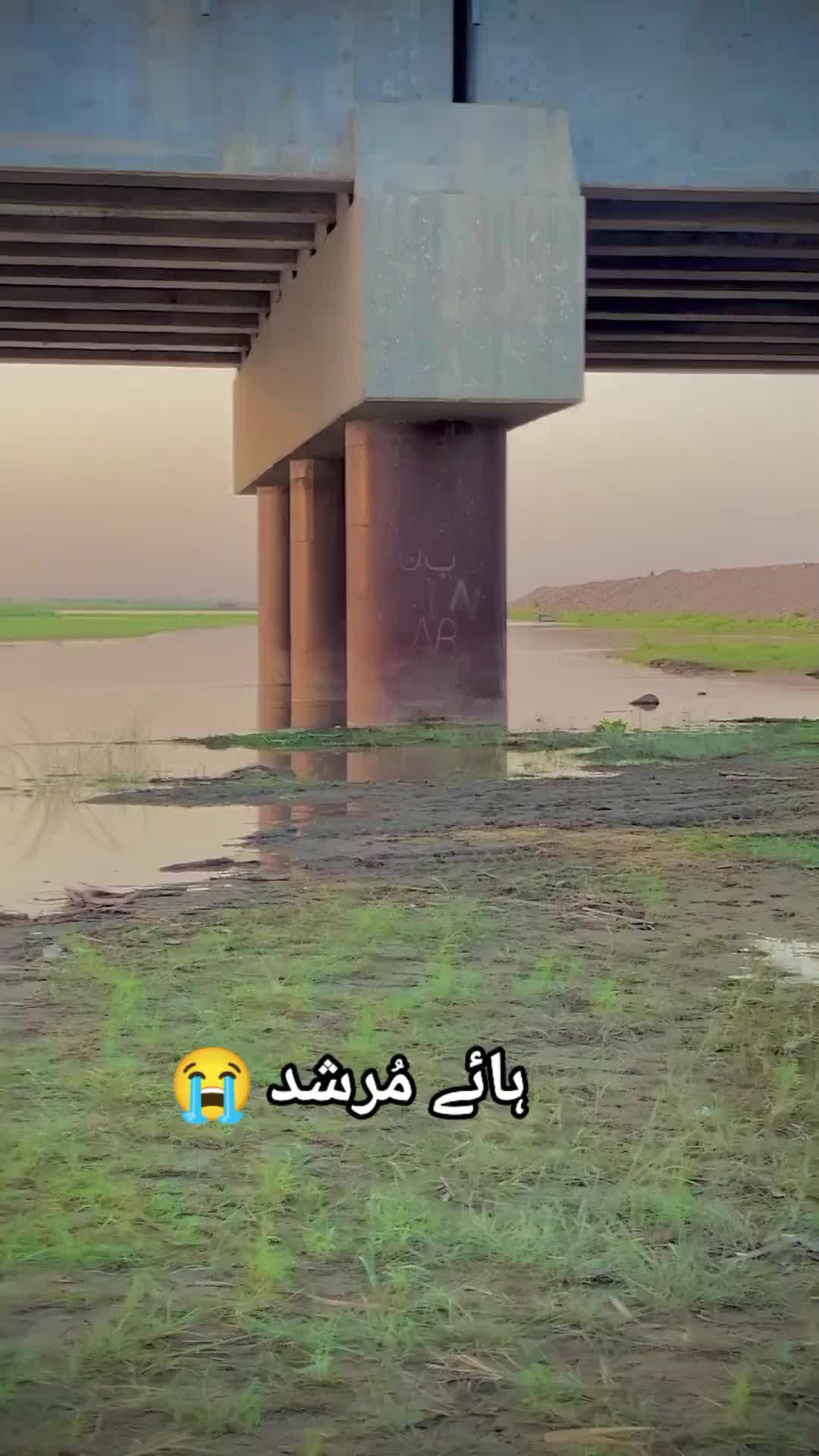 @🥀۔شانی۔ بھائی 💘