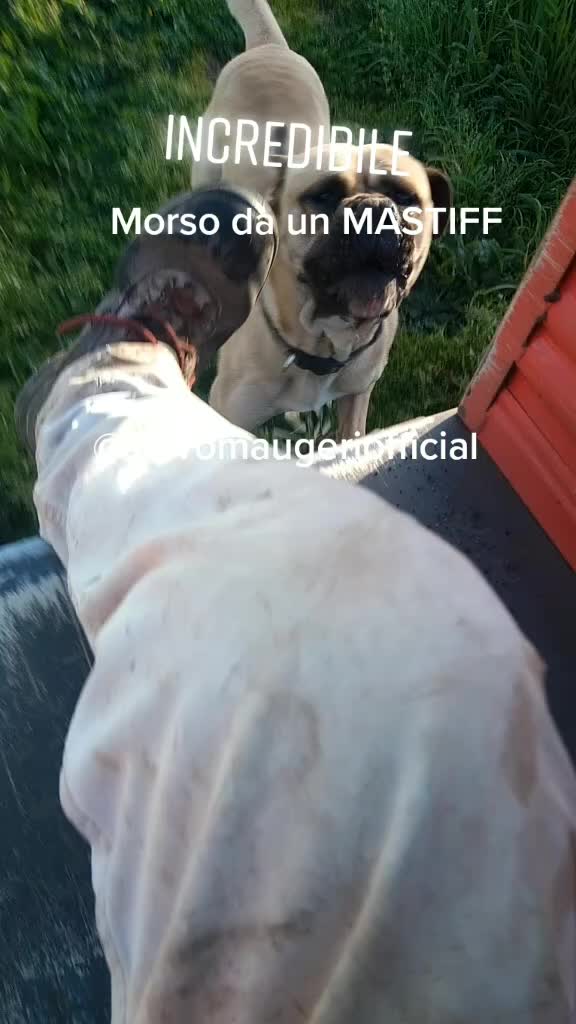 @Salvo Maugeri